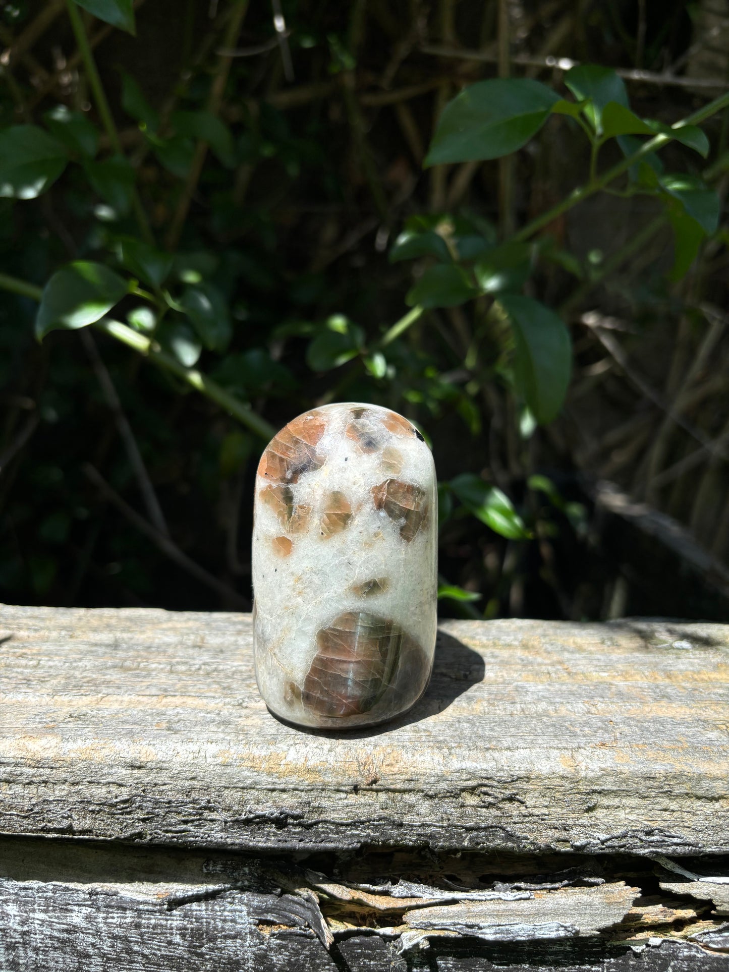 Polarity Moonstone Free Form B