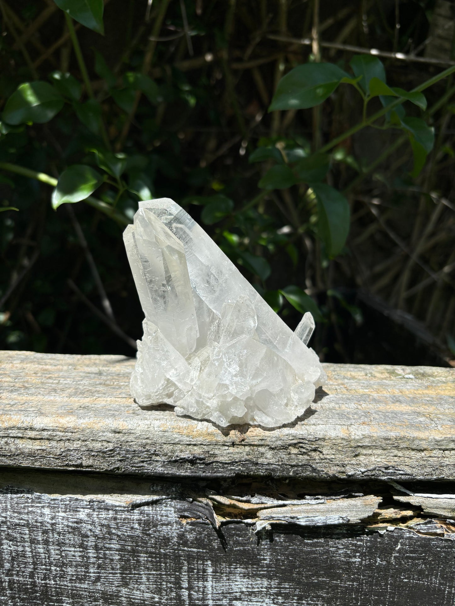 Clear Quartz Cluster C