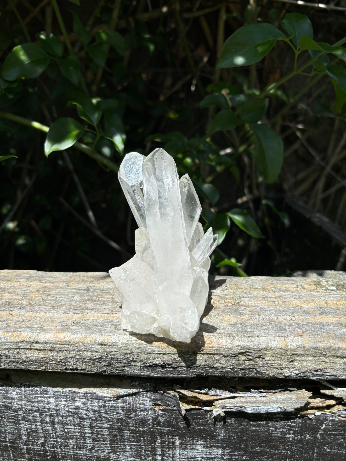 Clear Quartz Cluster C