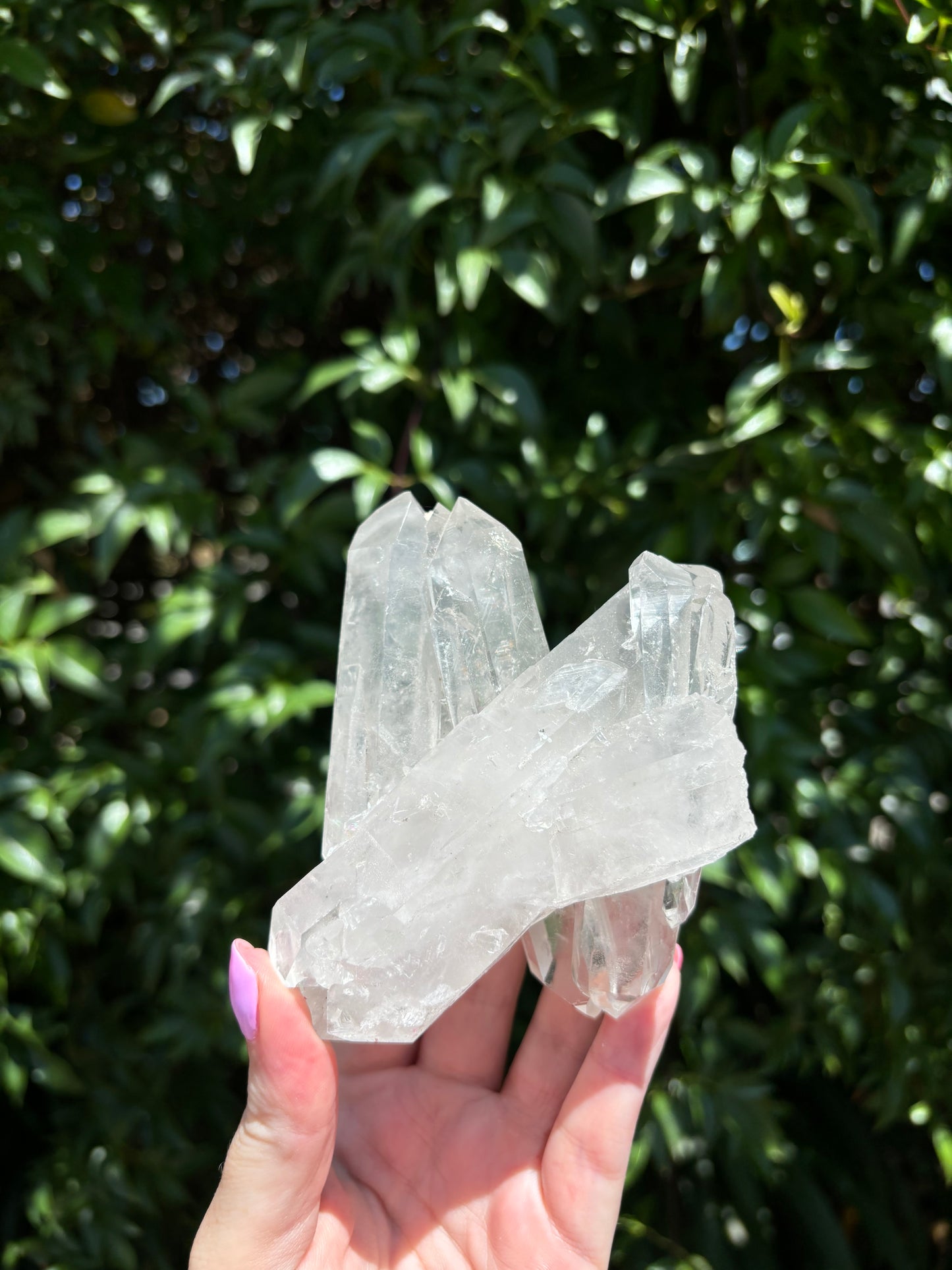 Clear Quartz Cluster B