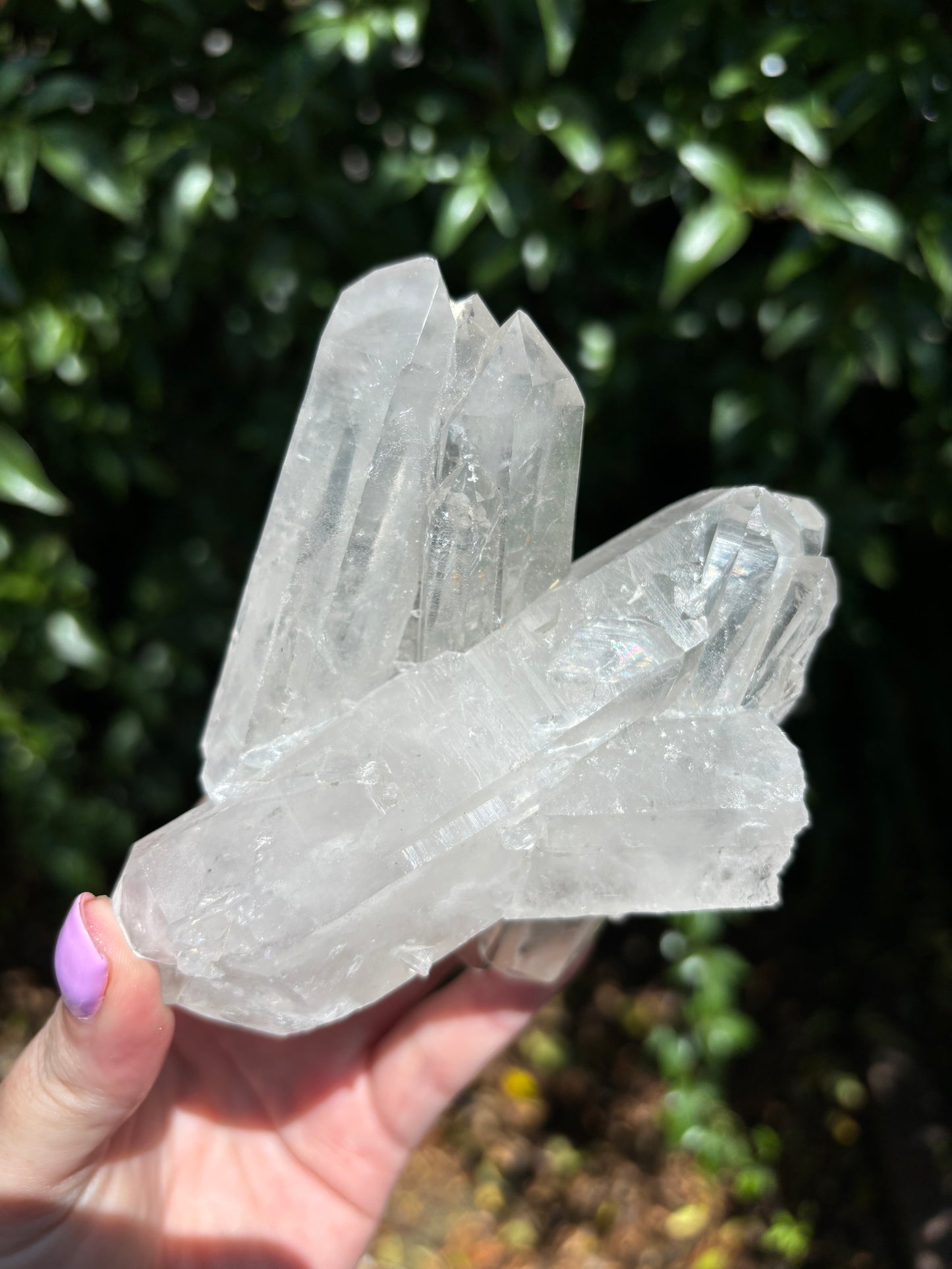 Clear Quartz Cluster B