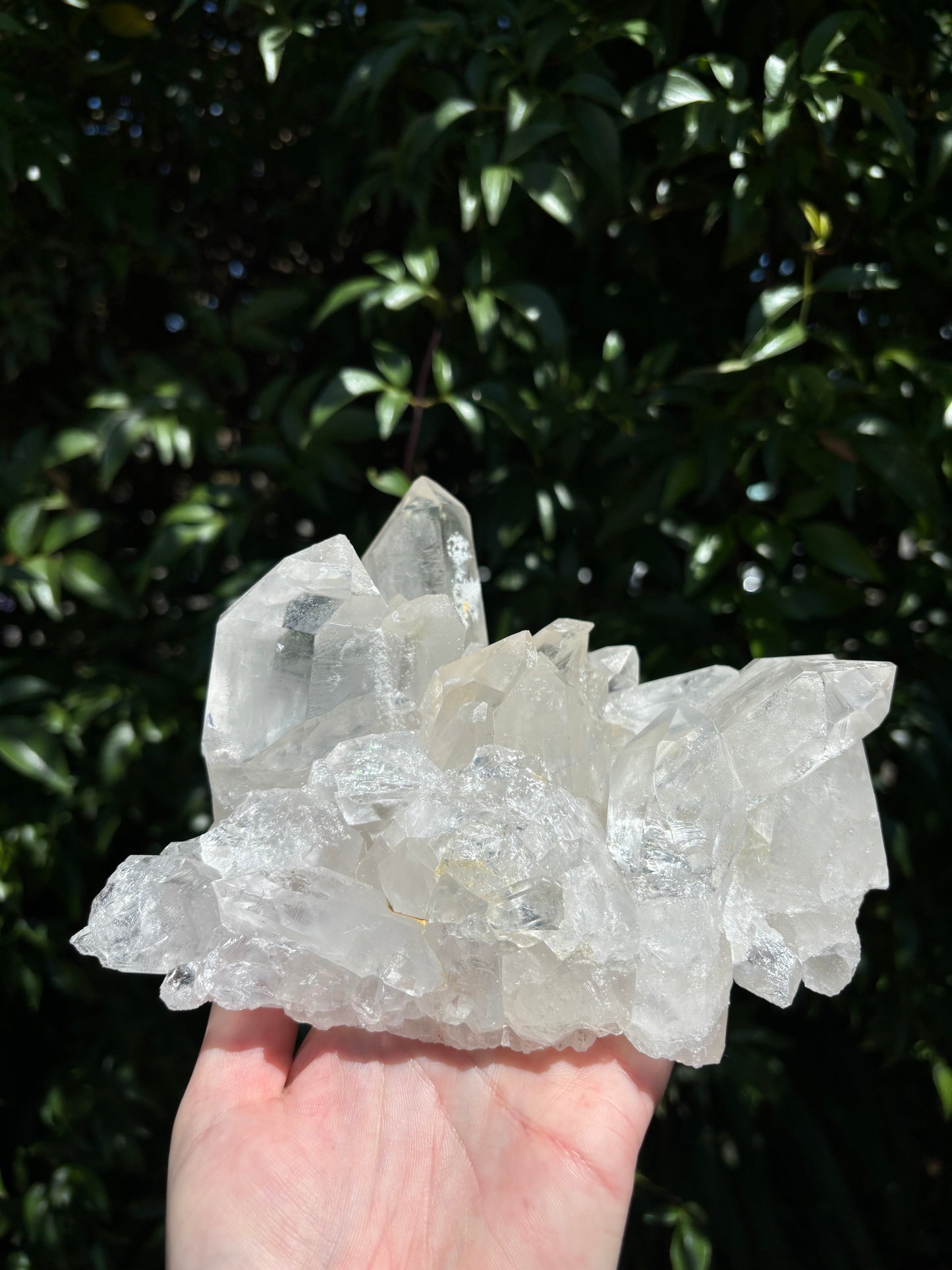 Clear Quartz Large Cluster A 1.4kgs