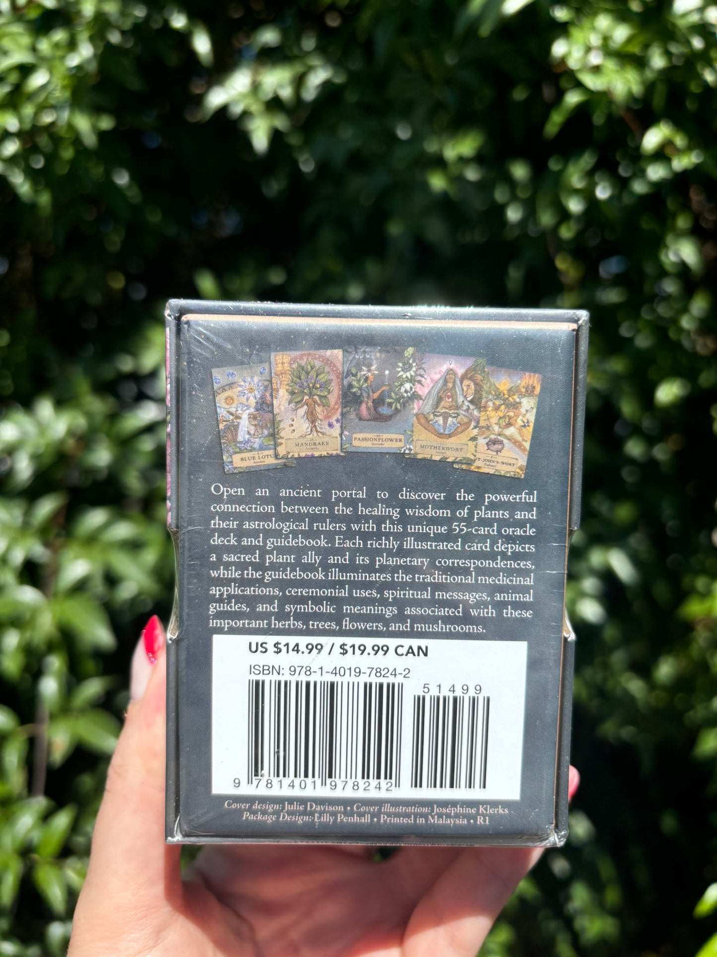 The Herbal Astrology Pocket Oracle Cards