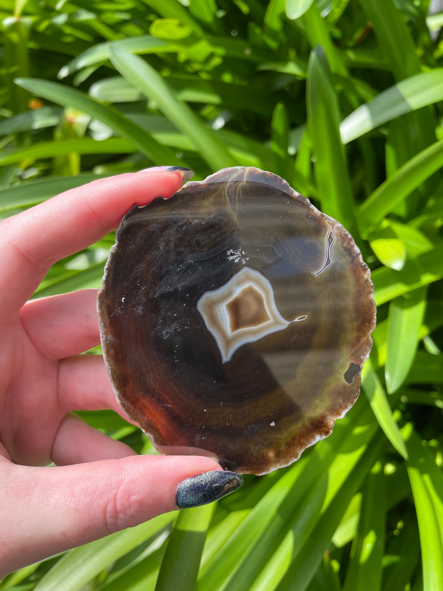 Agate Slice | Brown F