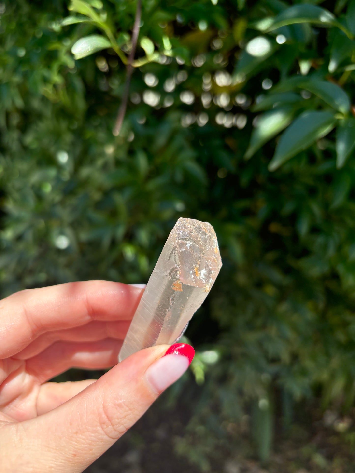 Lemurian Quartz Point A