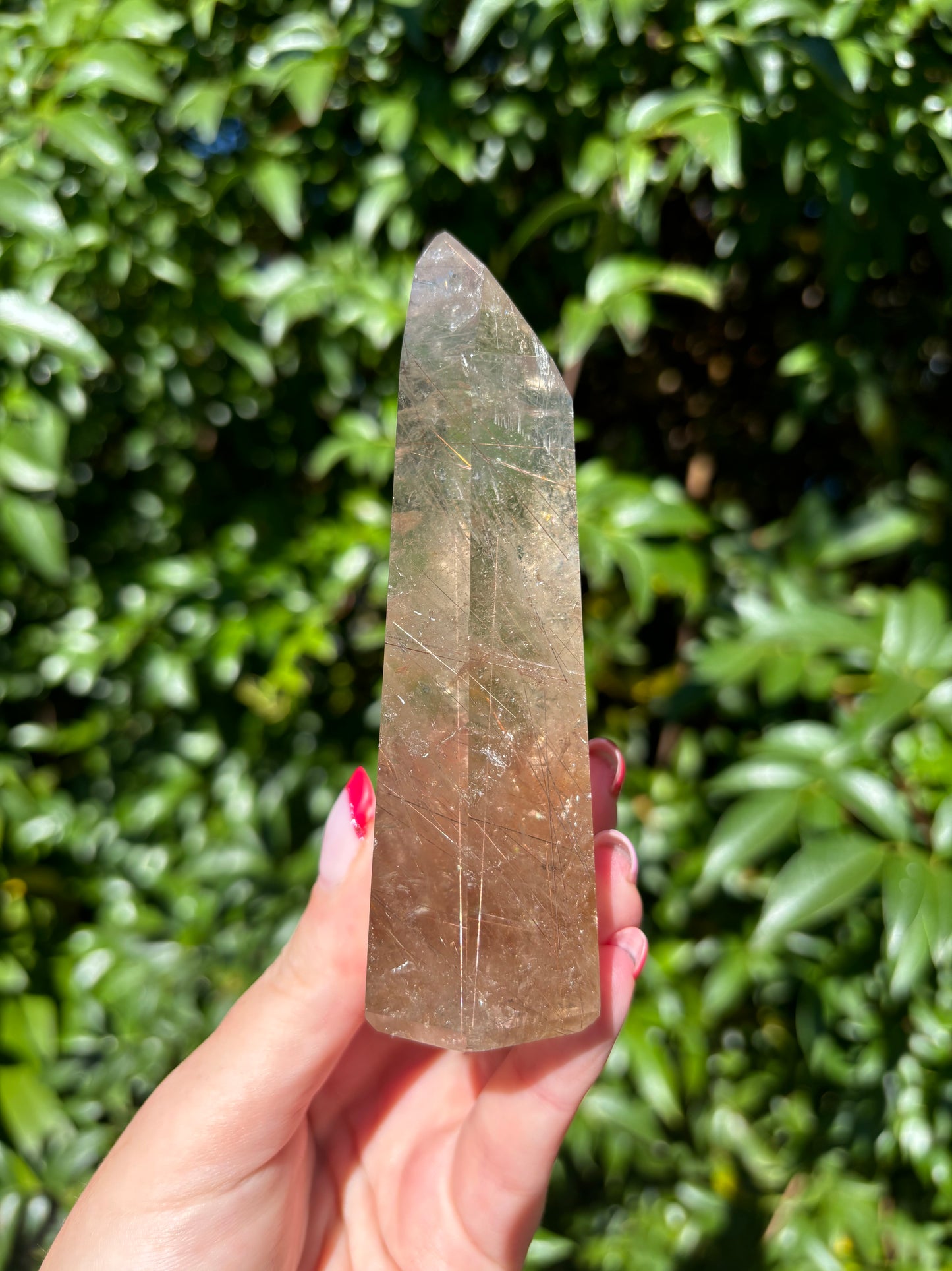 Rutilated Quartz Point E