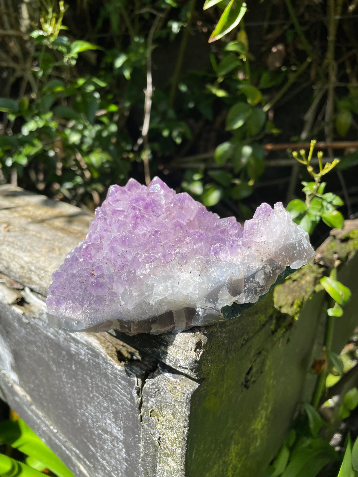 Amethyst Cluster G