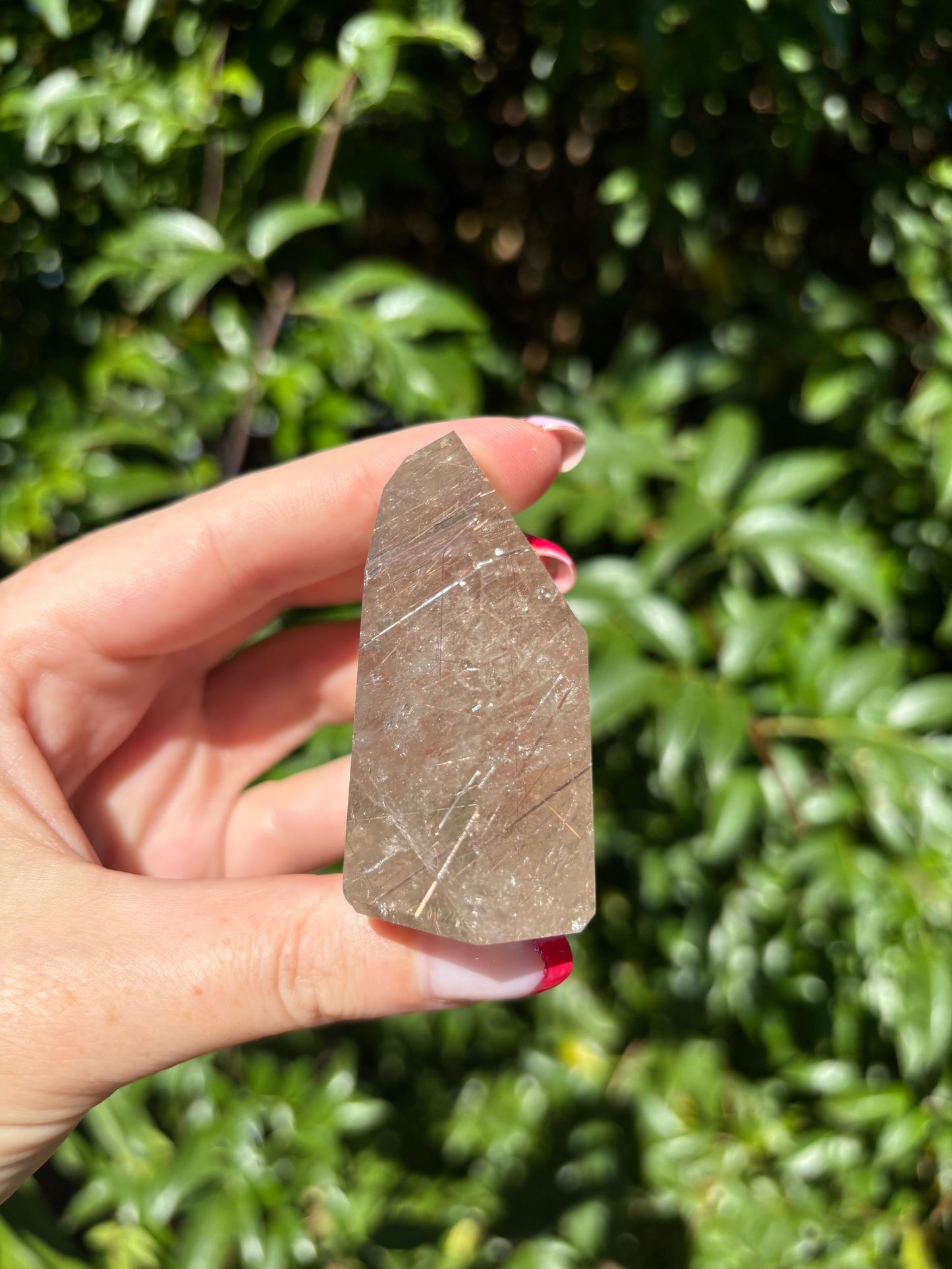 Rutilated Quartz Point H