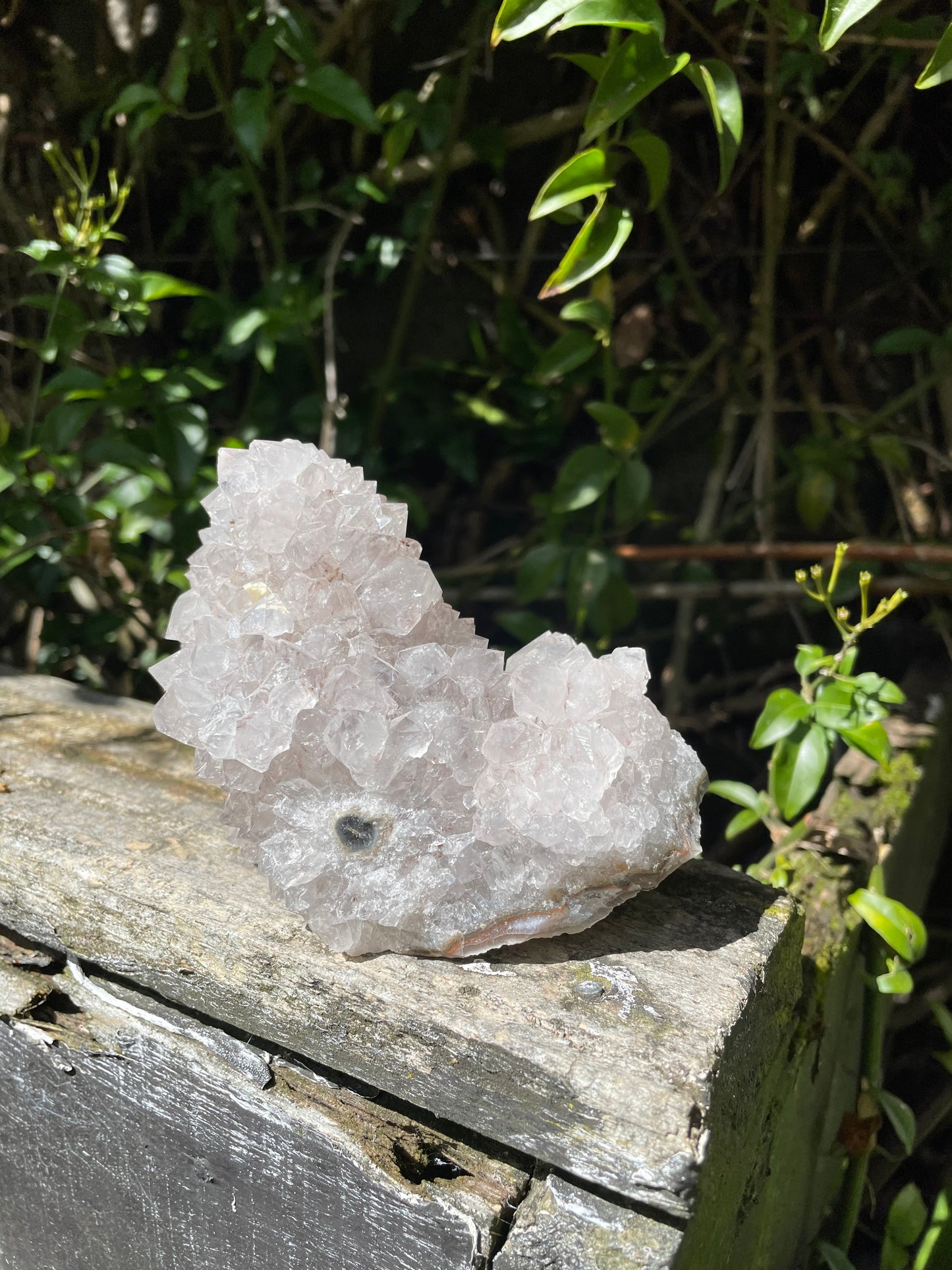 Amethyst Flower Cluster B