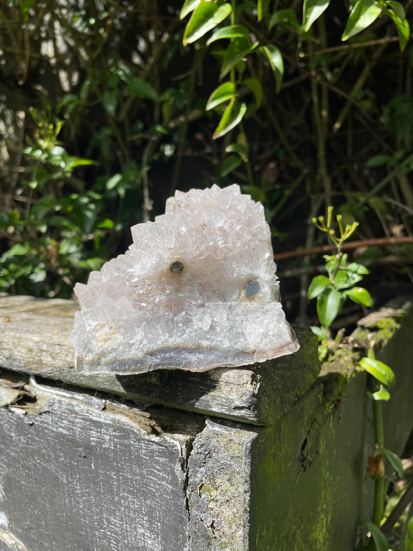 Amethyst Flower Cluster C