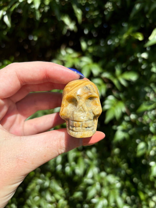 Crazy Lace Agate Large Skull