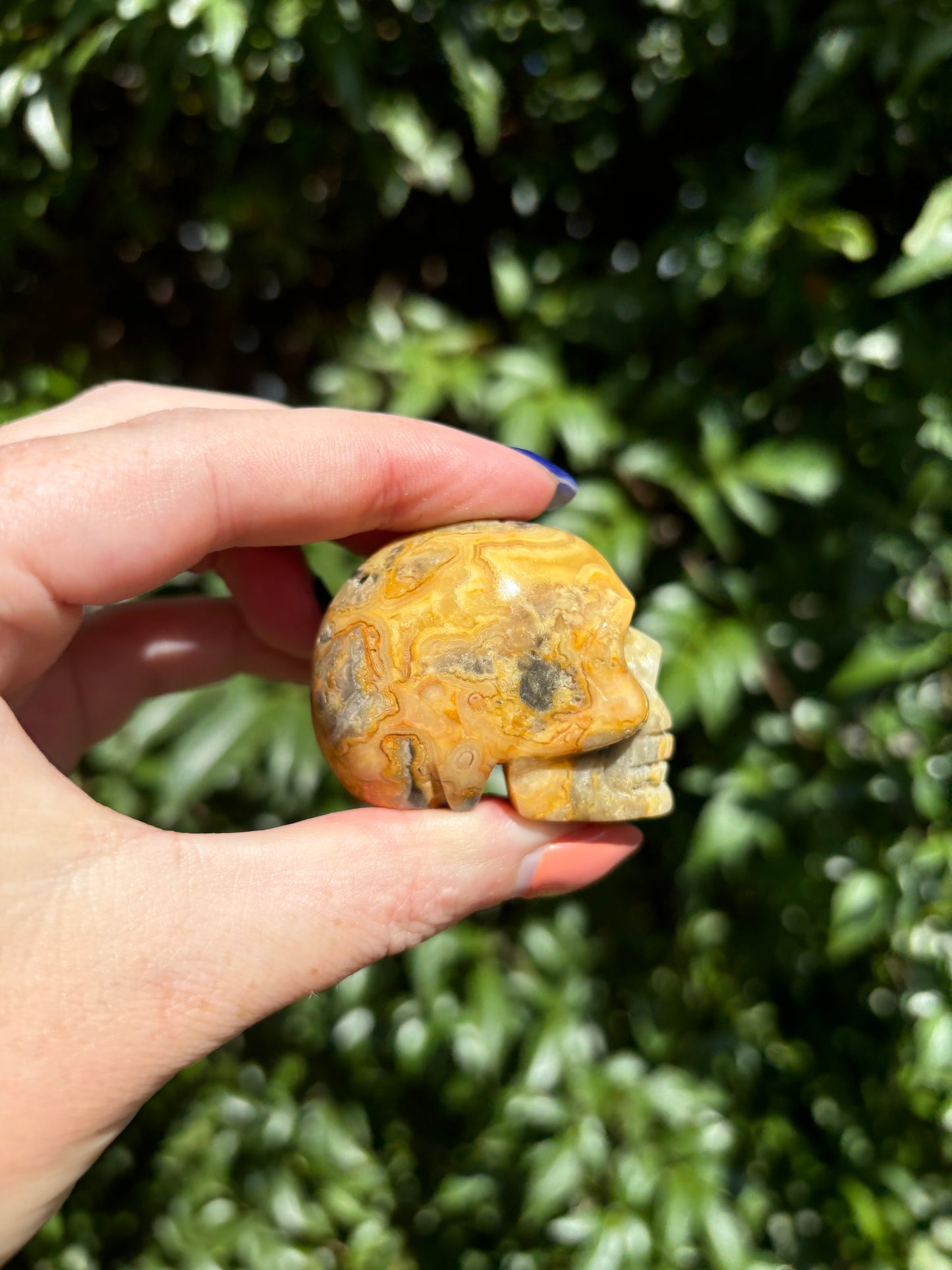 Crazy Lace Agate Large Skull