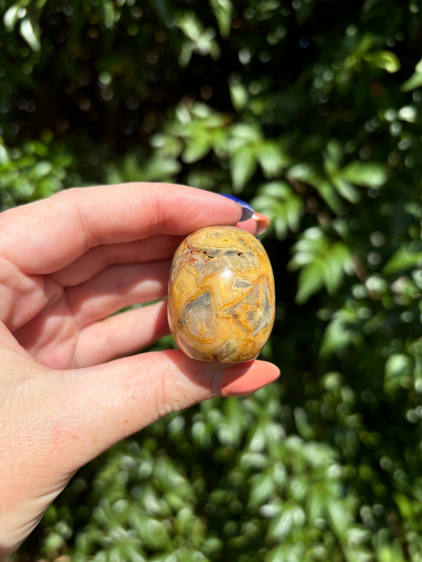 Crazy Lace Agate Large Skull