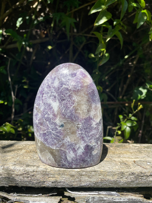 Lepidolite Free Form A