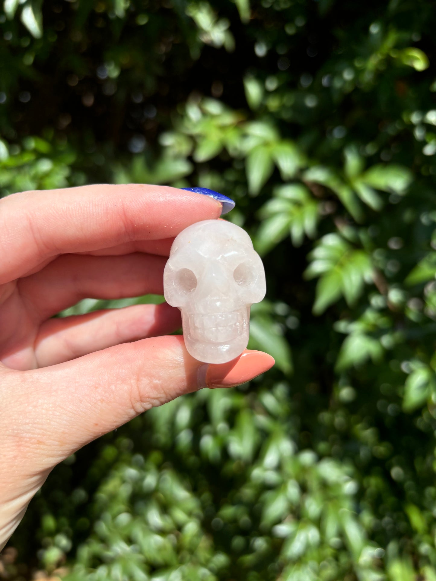 Rose Quartz Medium Skull