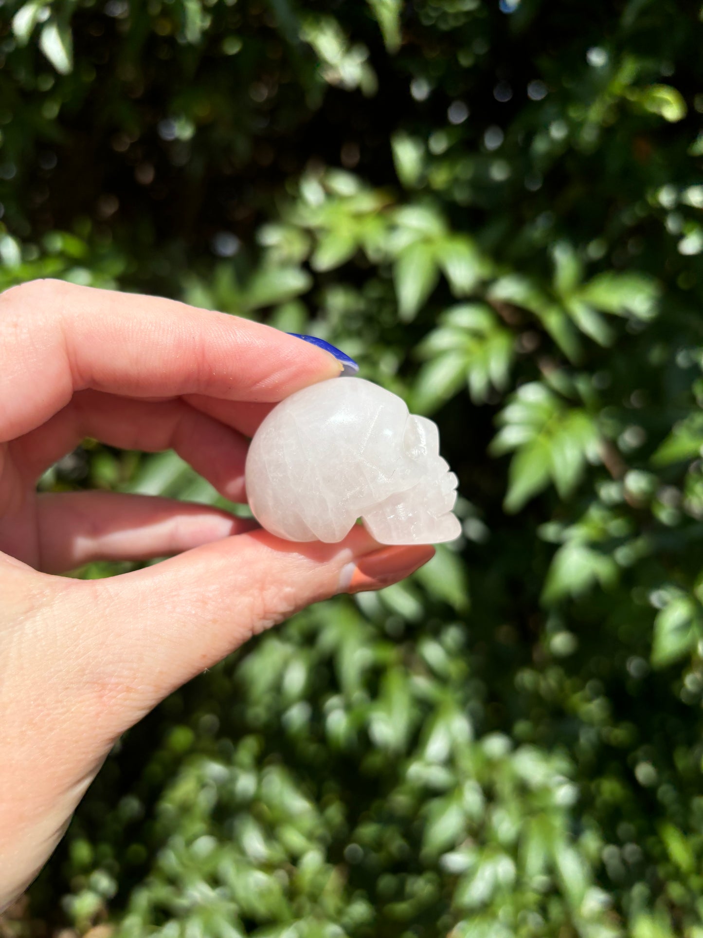 Rose Quartz Medium Skull