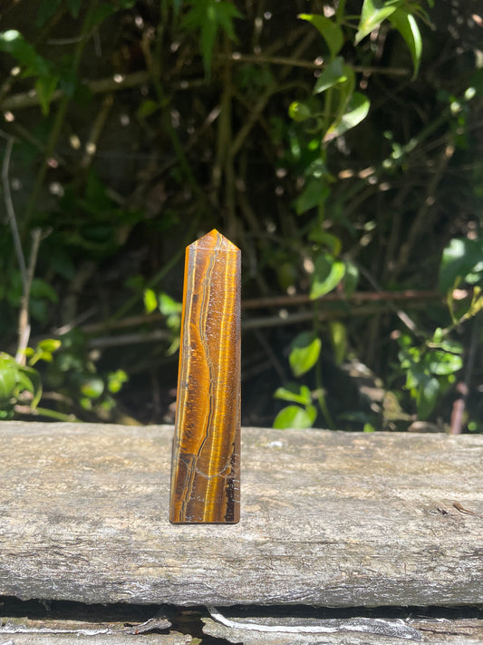 Tigers Eye Point C