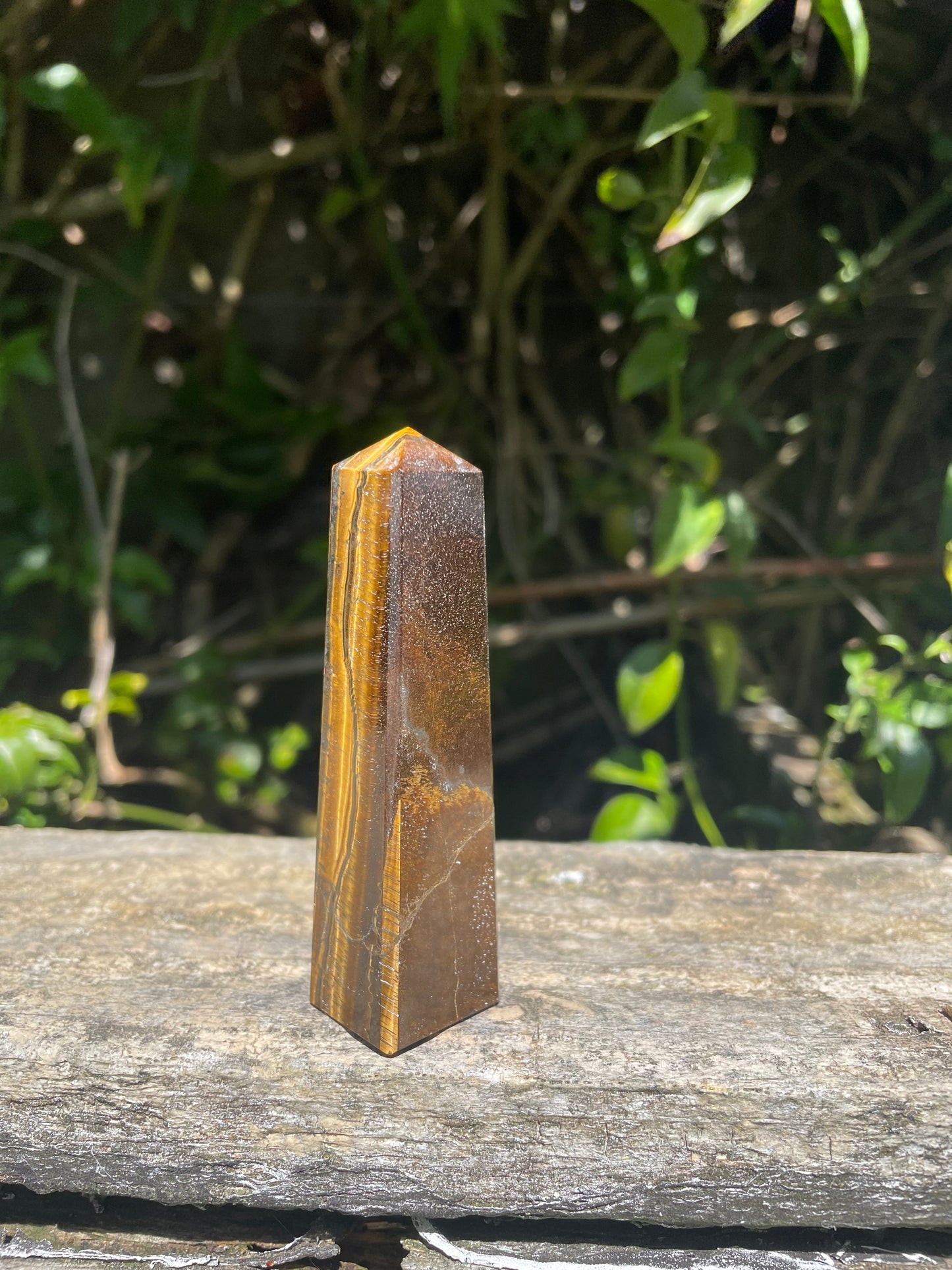 Tigers Eye Point C