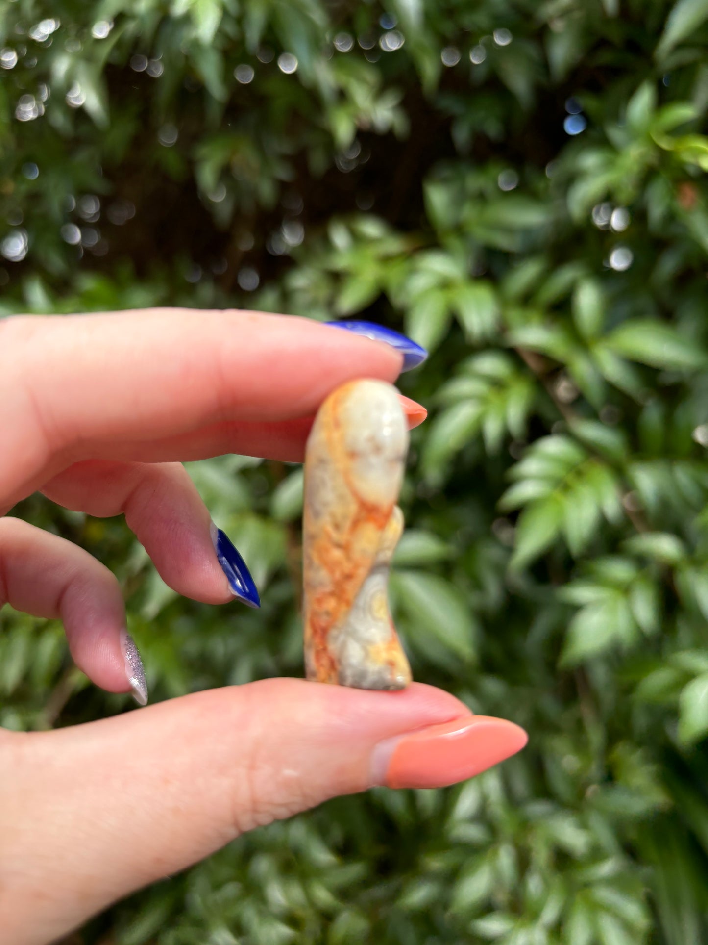 Crazy Lace Agate Angel Medium