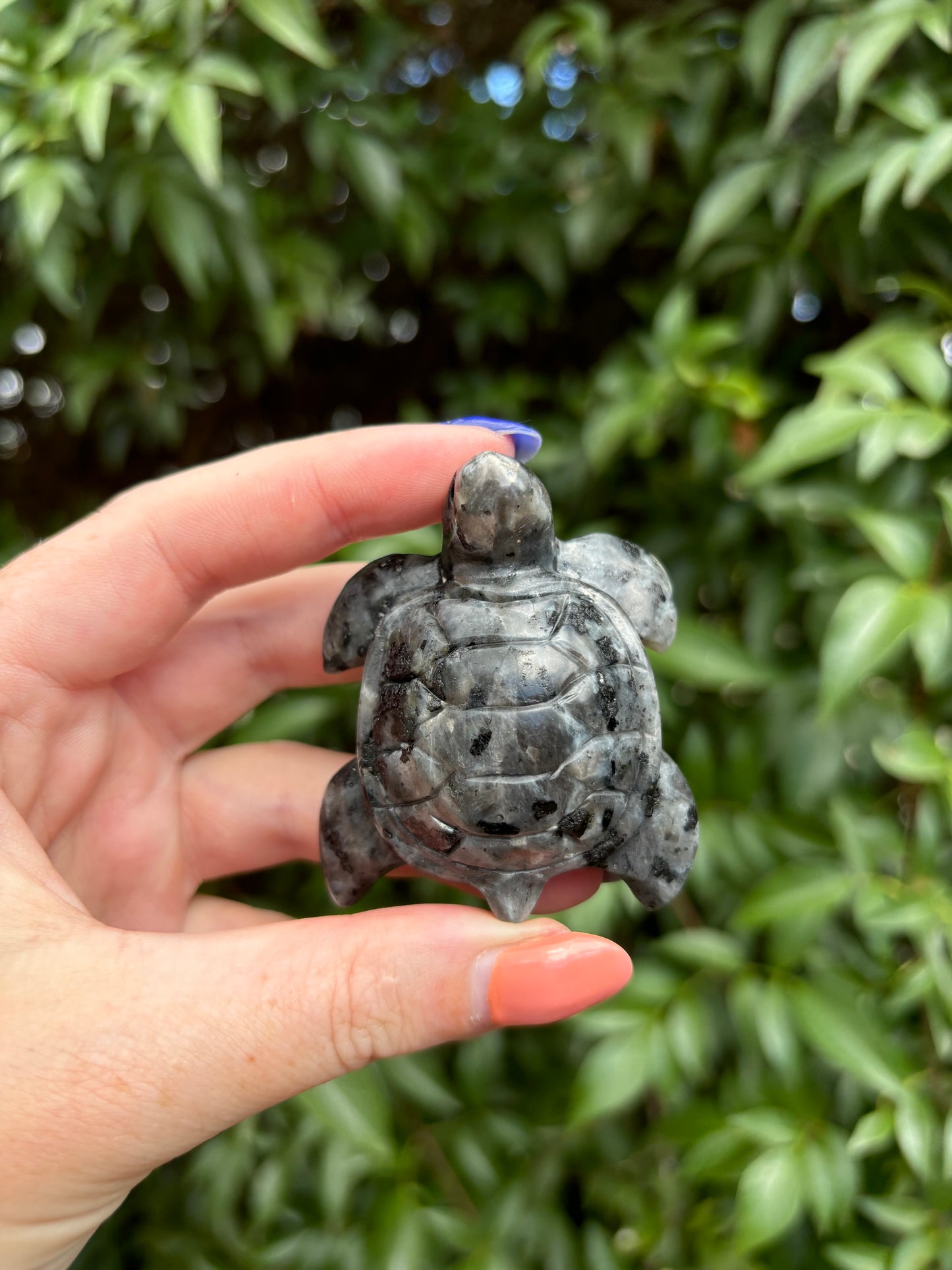 Larvikite Large Turtle