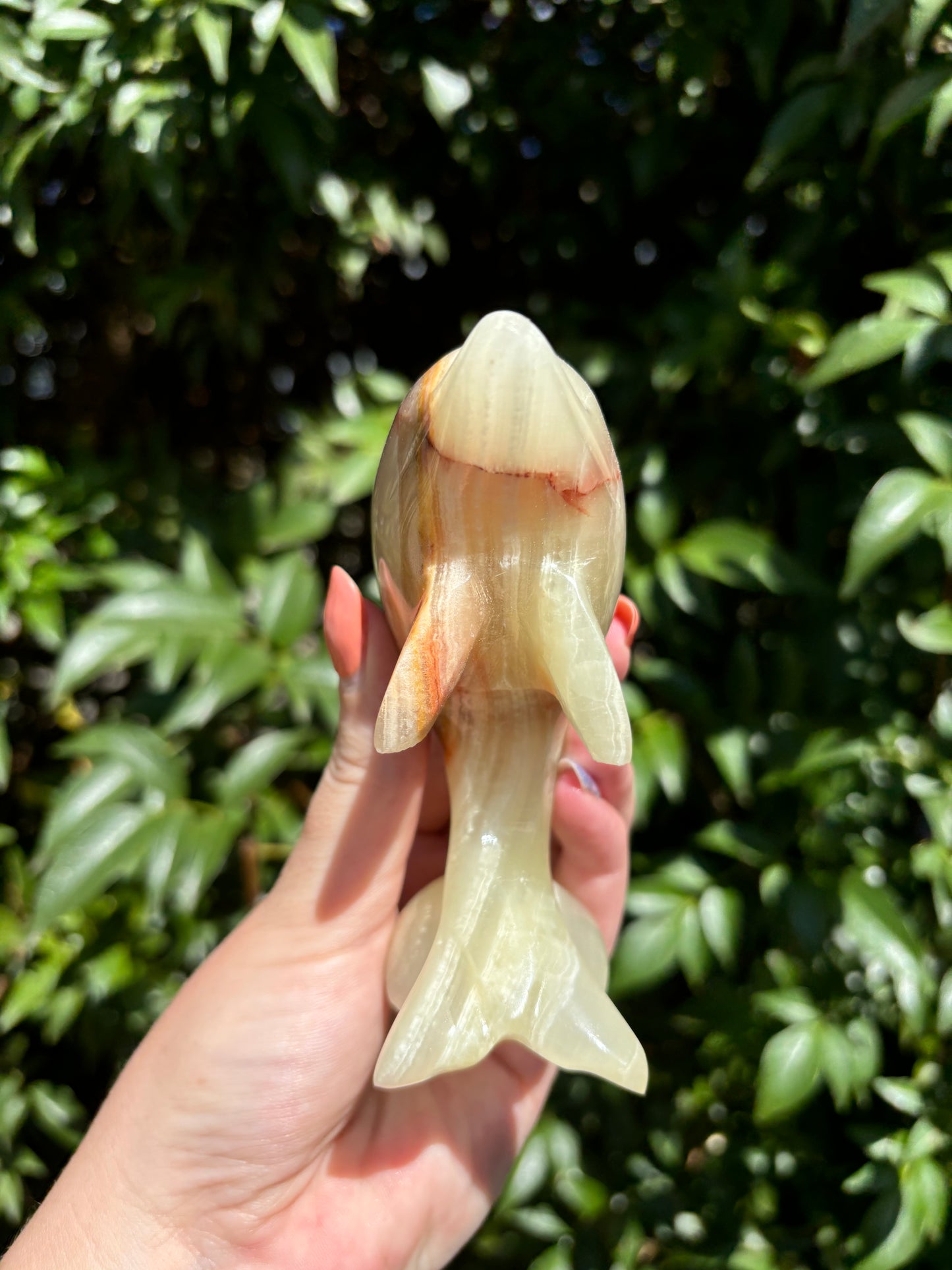 Banded Calcite Dolphin Large A