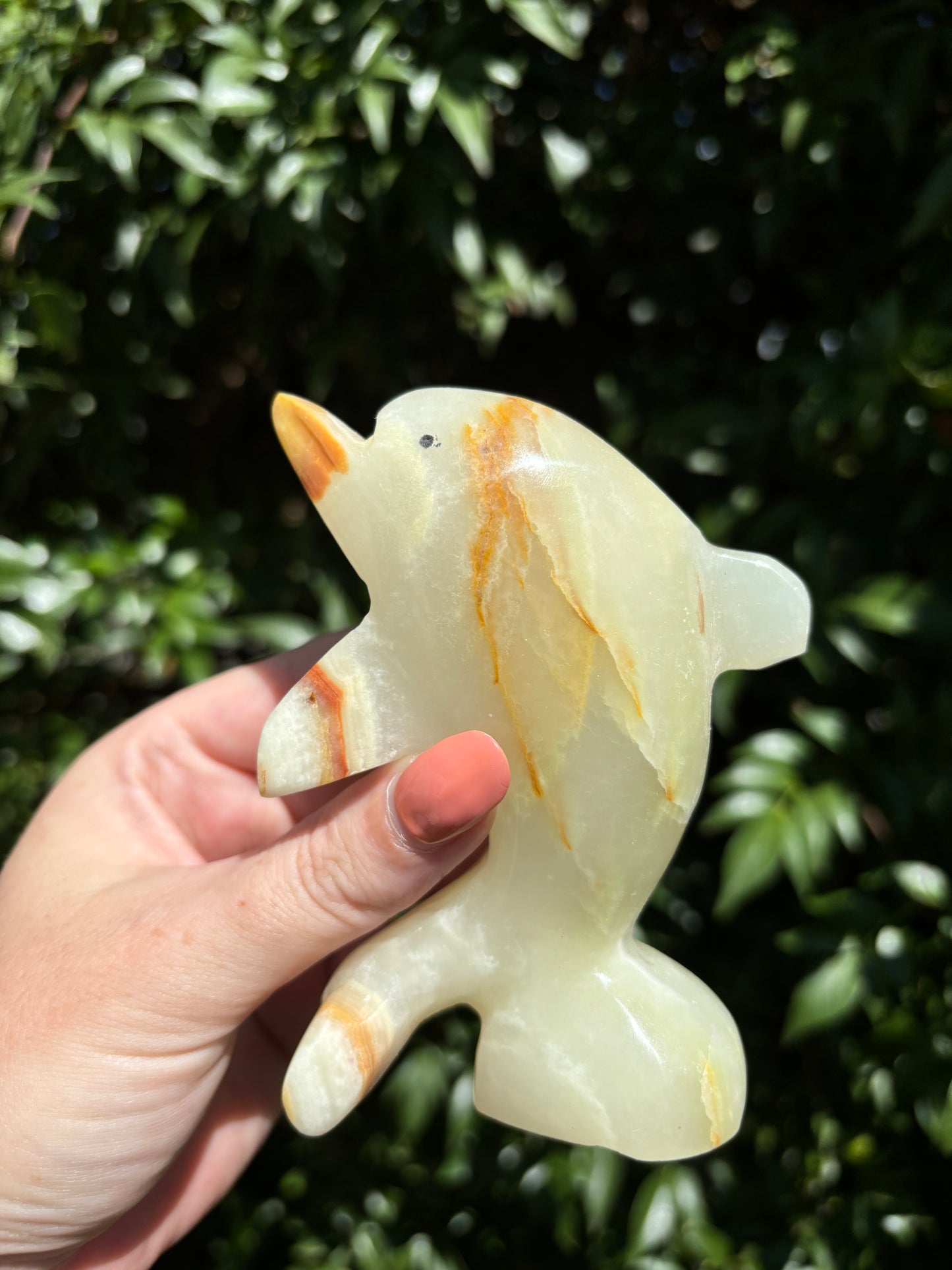 Banded Calcite Dolphin Large B