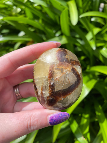 Septarian Palm Stone A