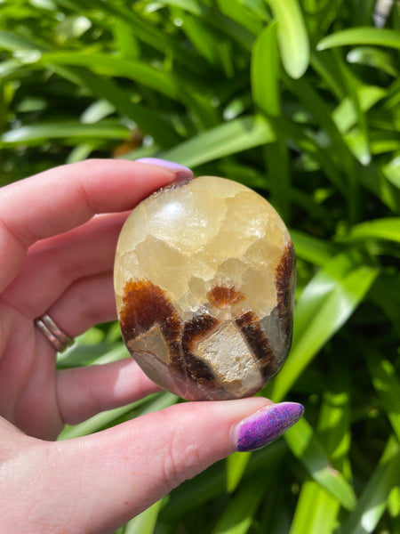 Septarian Palm Stone A