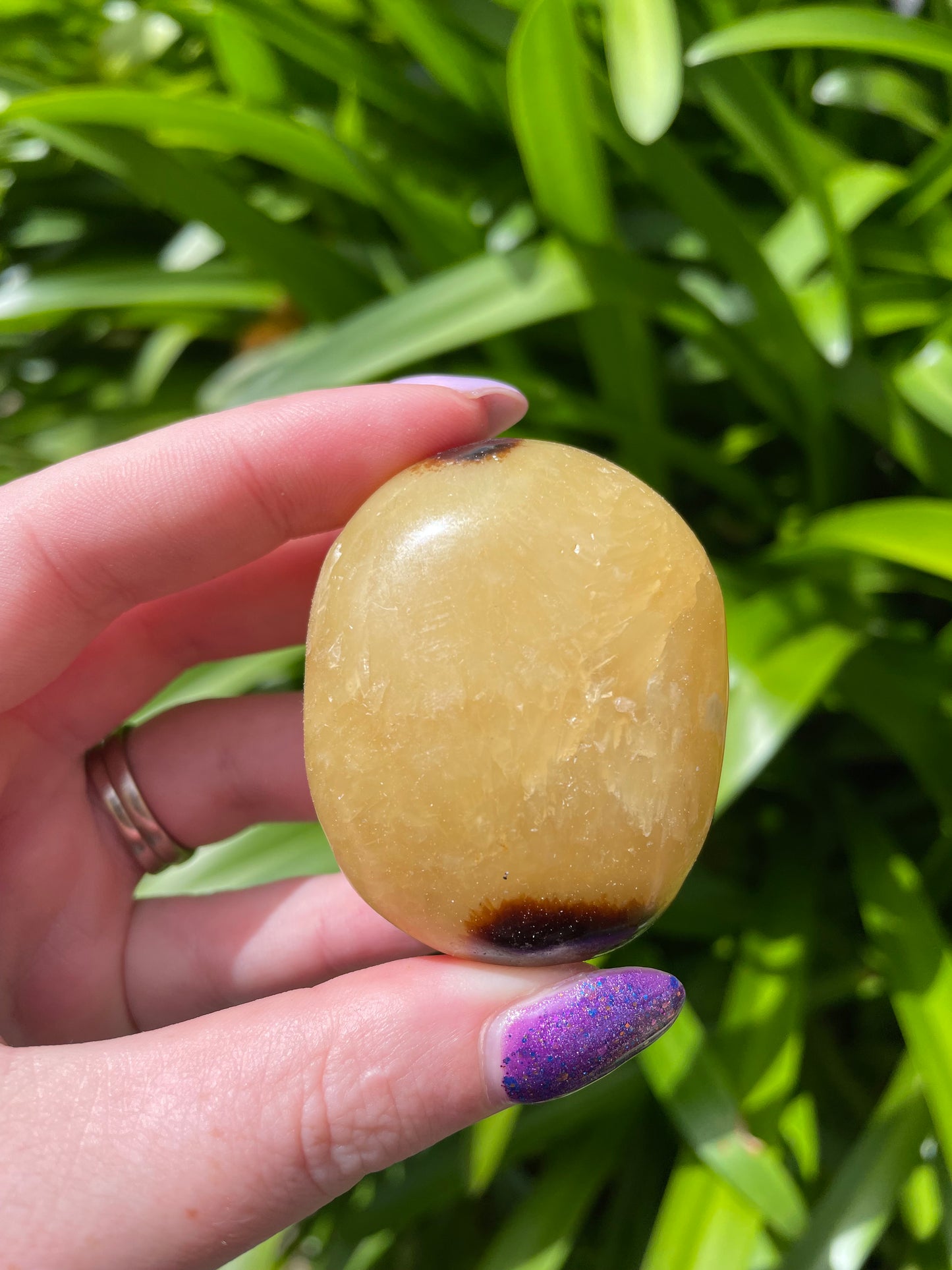 Septarian Palm Stone C