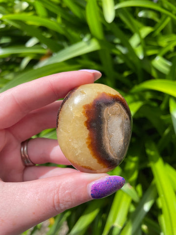 Septarian Palm Stone F