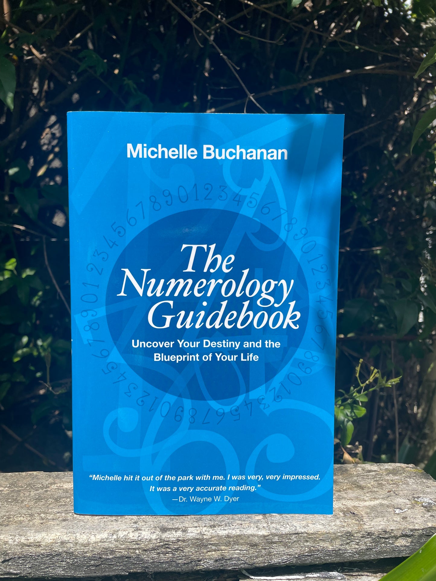 The Numerology Guidebook