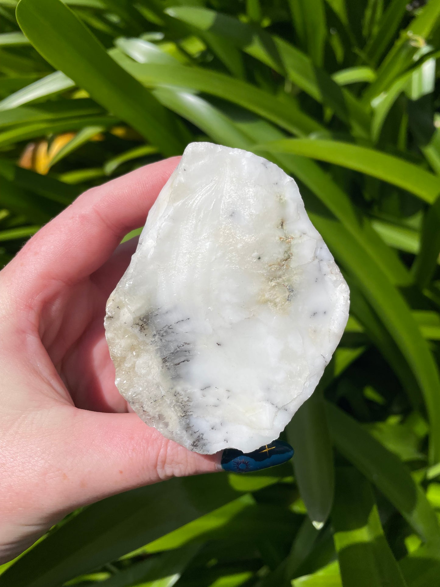 Dendritic Agate Semi Polished Piece A