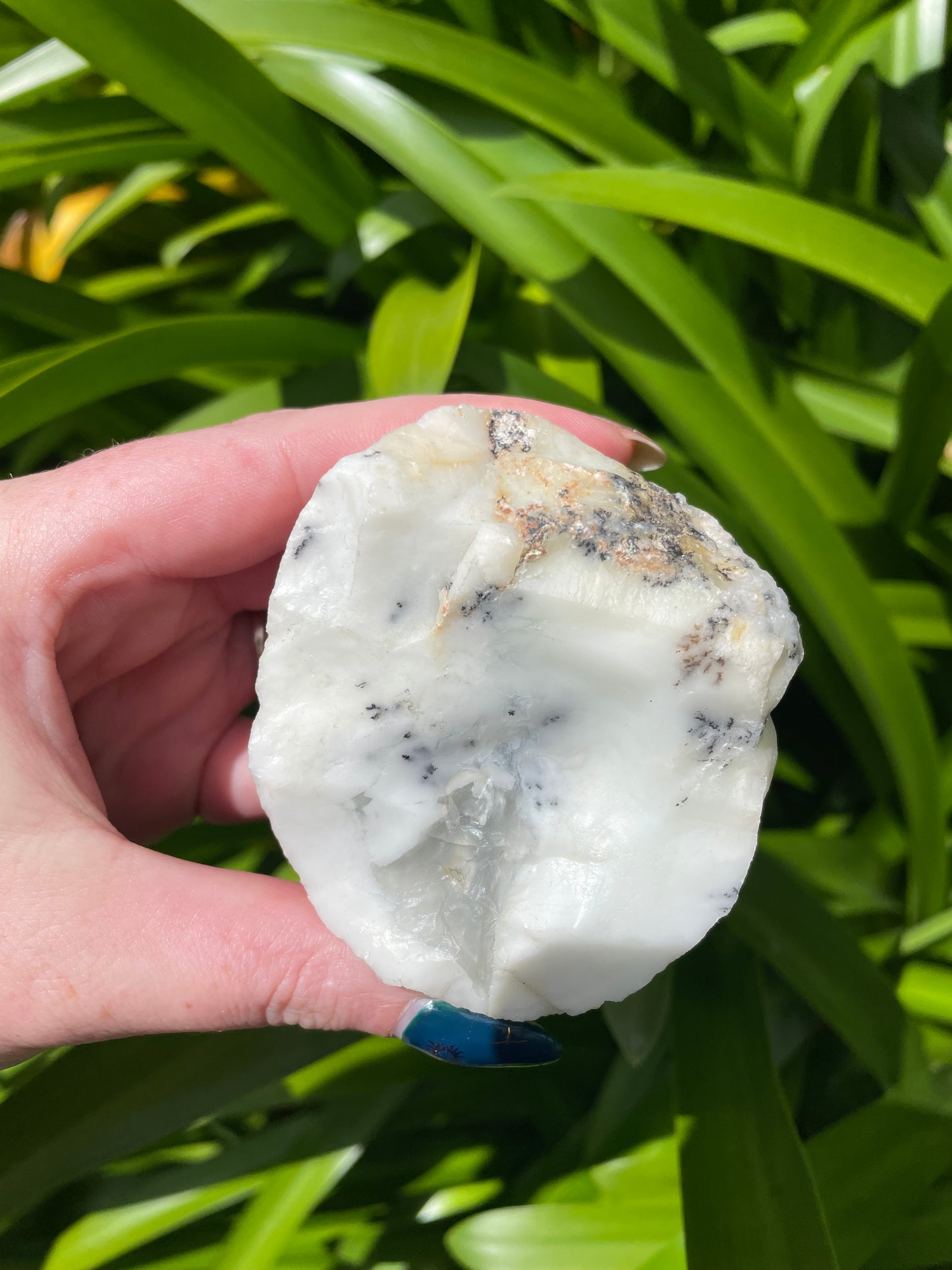 Dendritic Agate Semi Polished Piece B