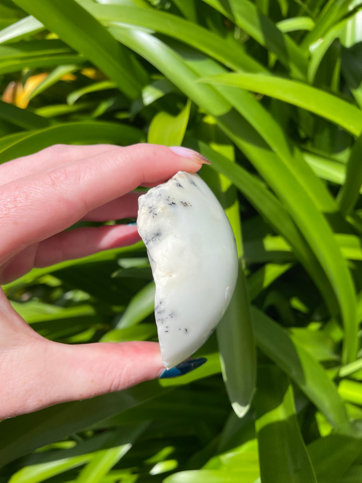 Dendritic Agate Semi Polished Piece B