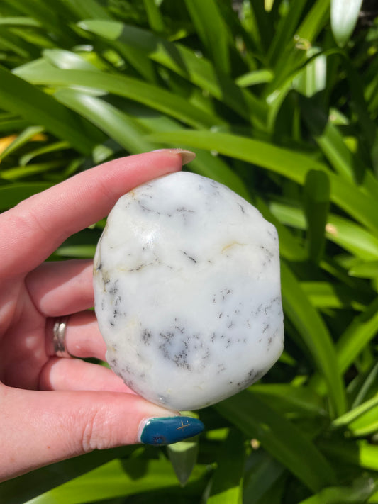 Dendritic Agate Semi Polished Piece C