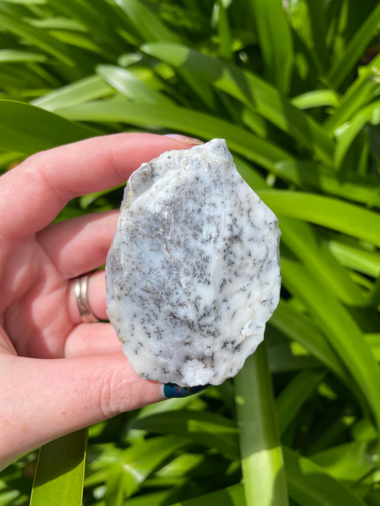 Dendritic Agate Semi Polished Piece D