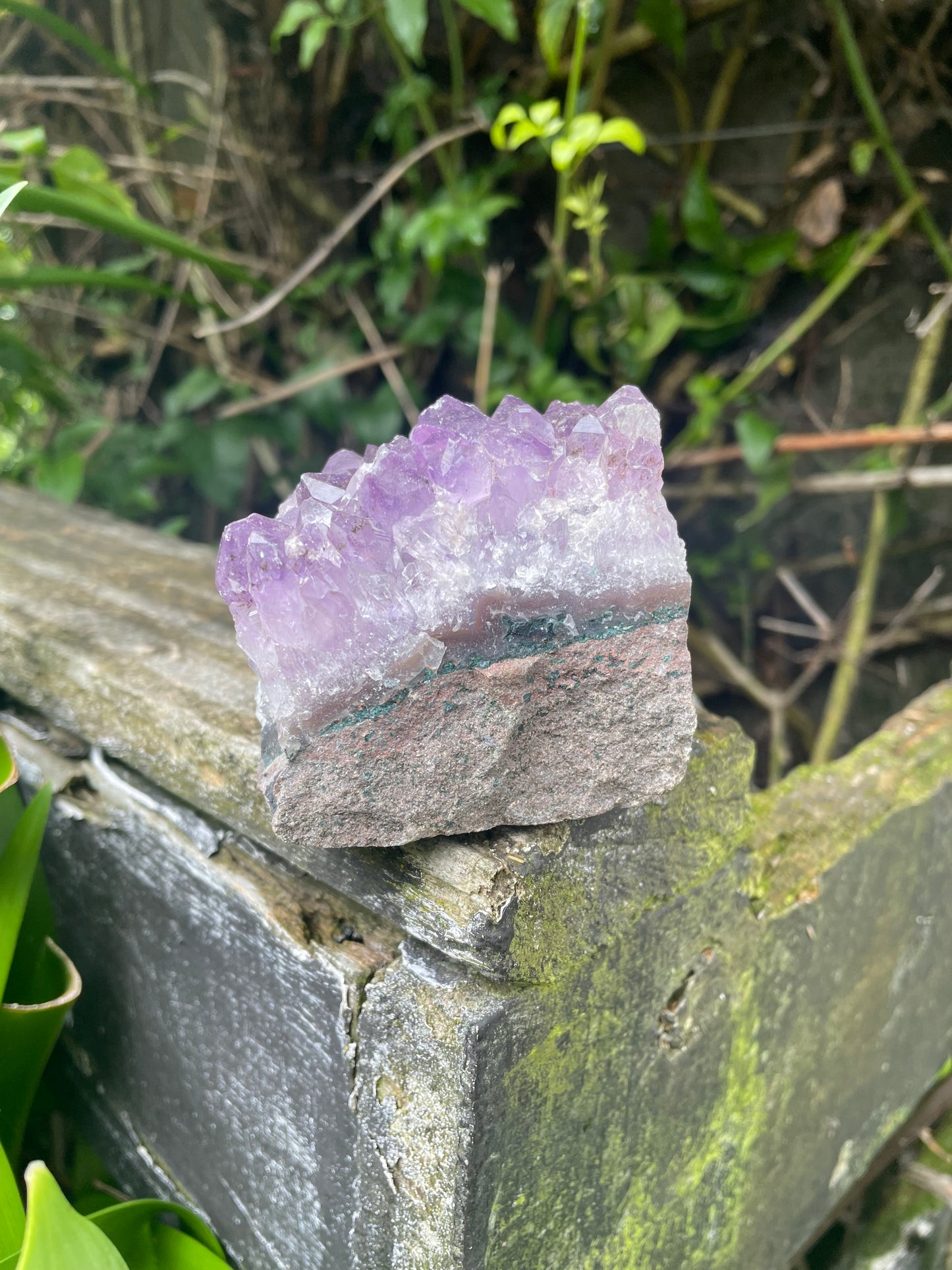 Amethyst Cluster A