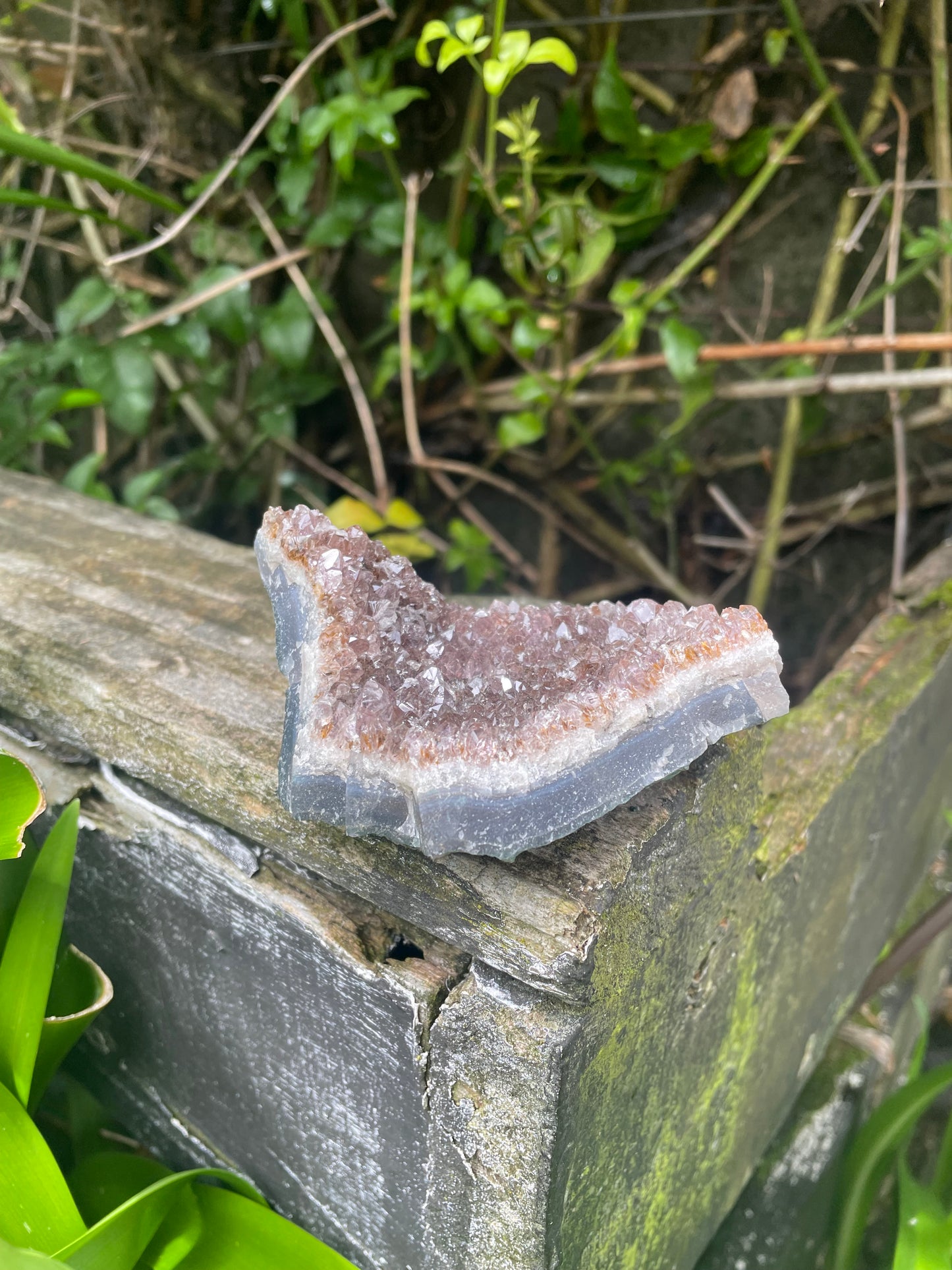 Amethyst Cluster C