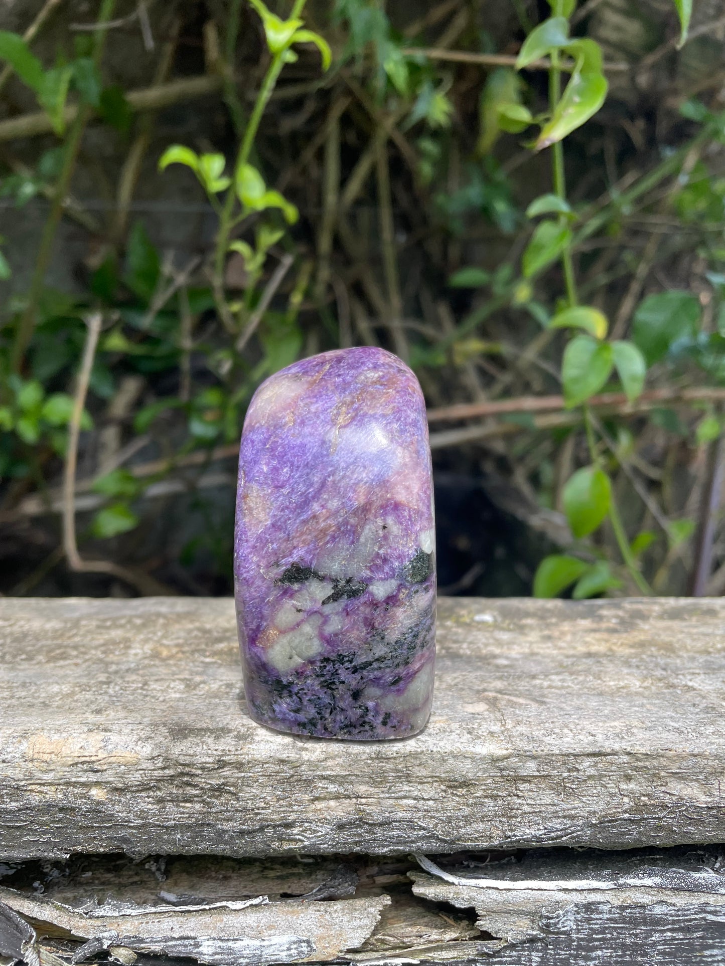 Charoite Free Form A