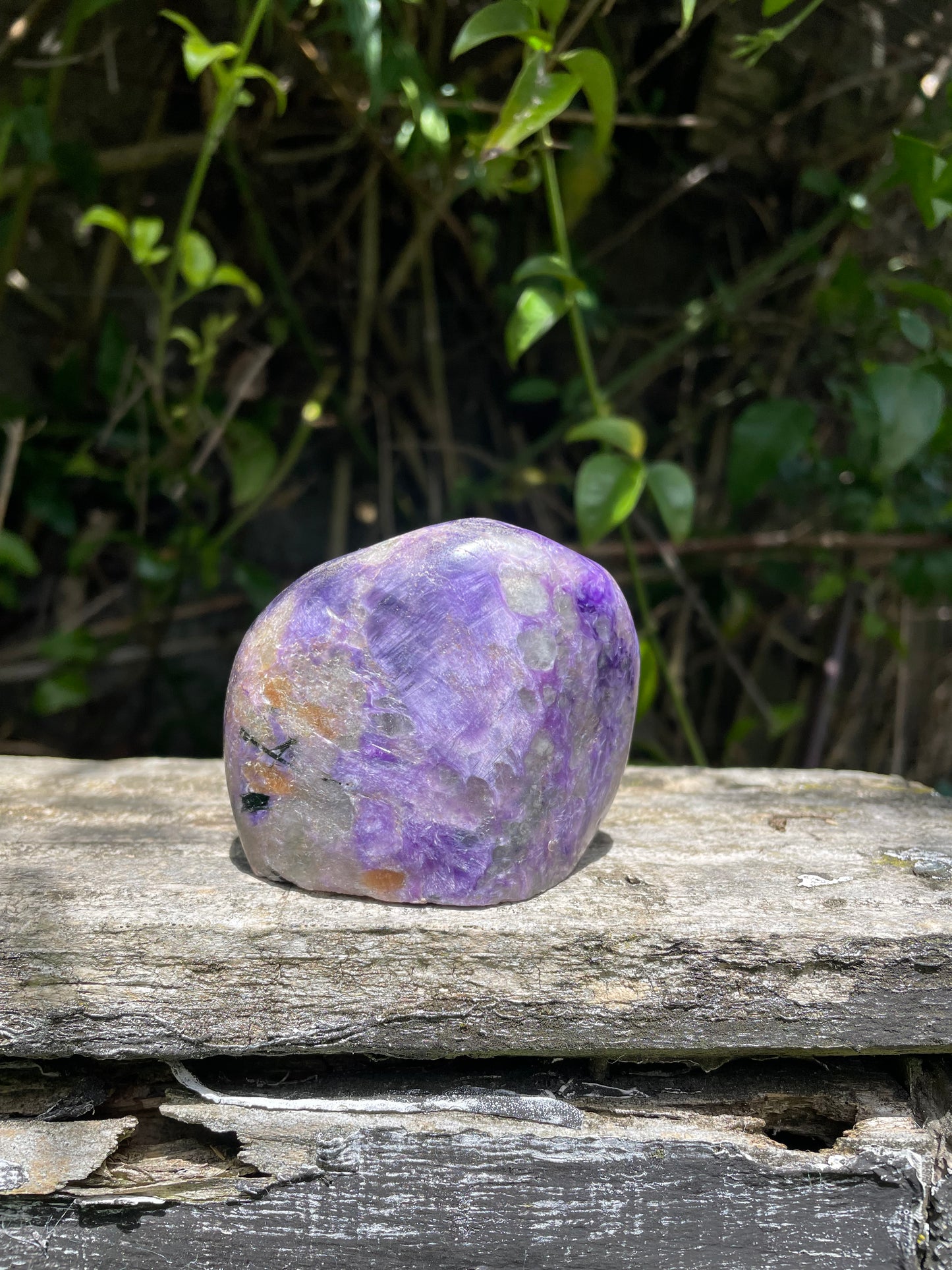 Charoite Free Form B