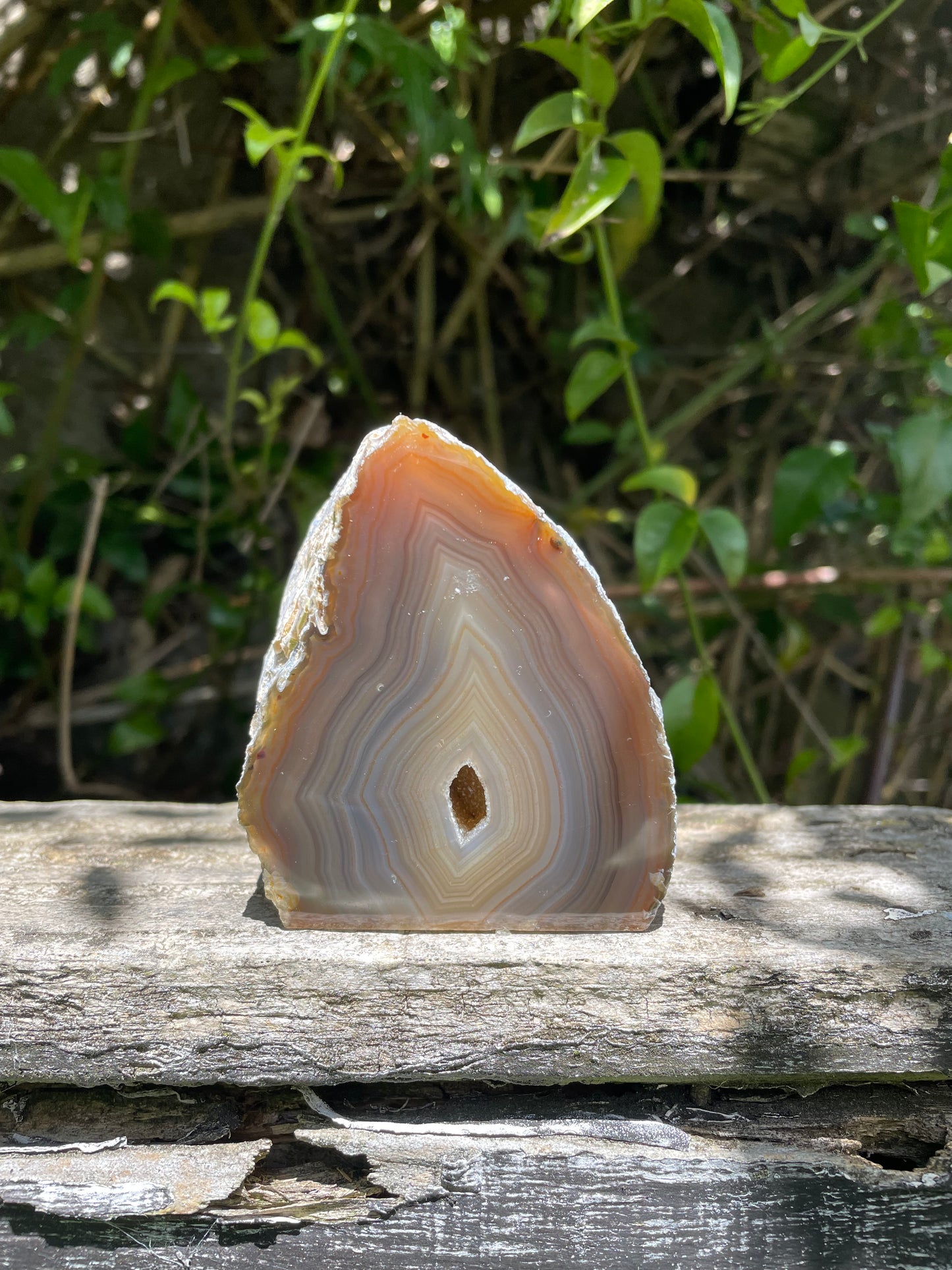 Brown Agate Geode F