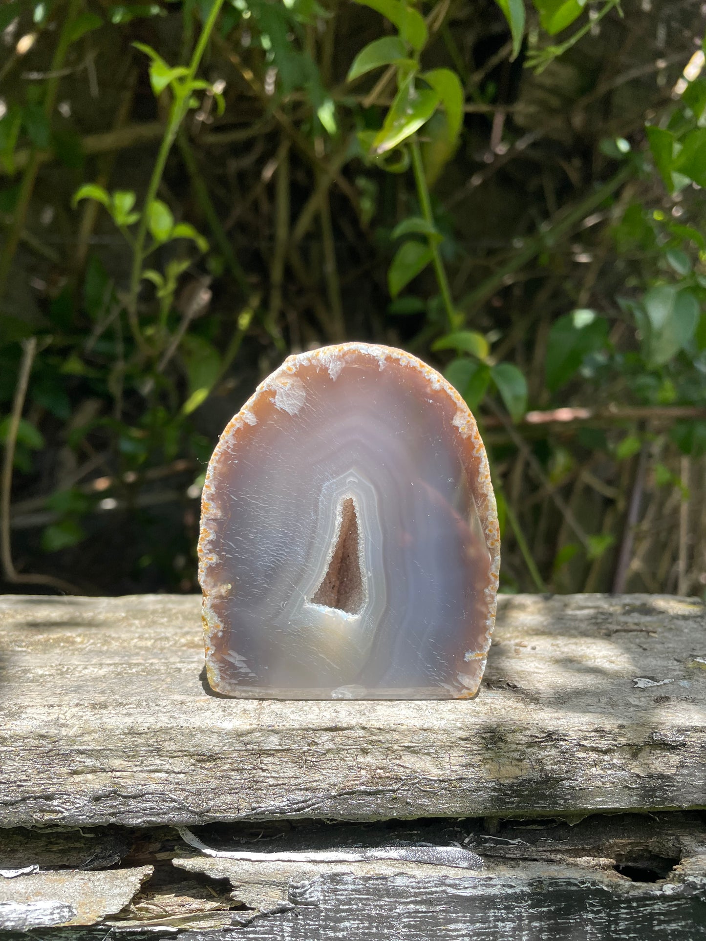 Brown Agate Geode i