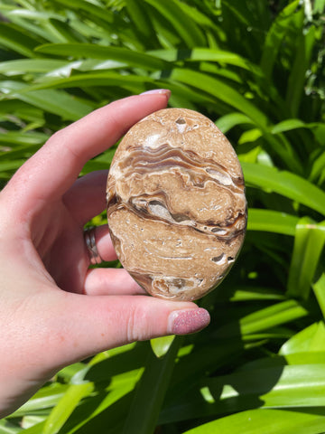 Chocolate Calcite Palm Stone C