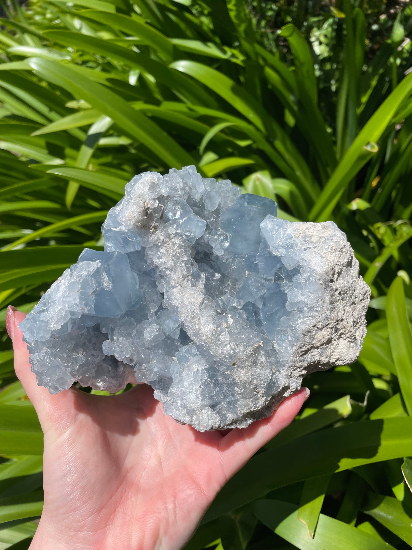 Celestite XL Piece 2.3kgs