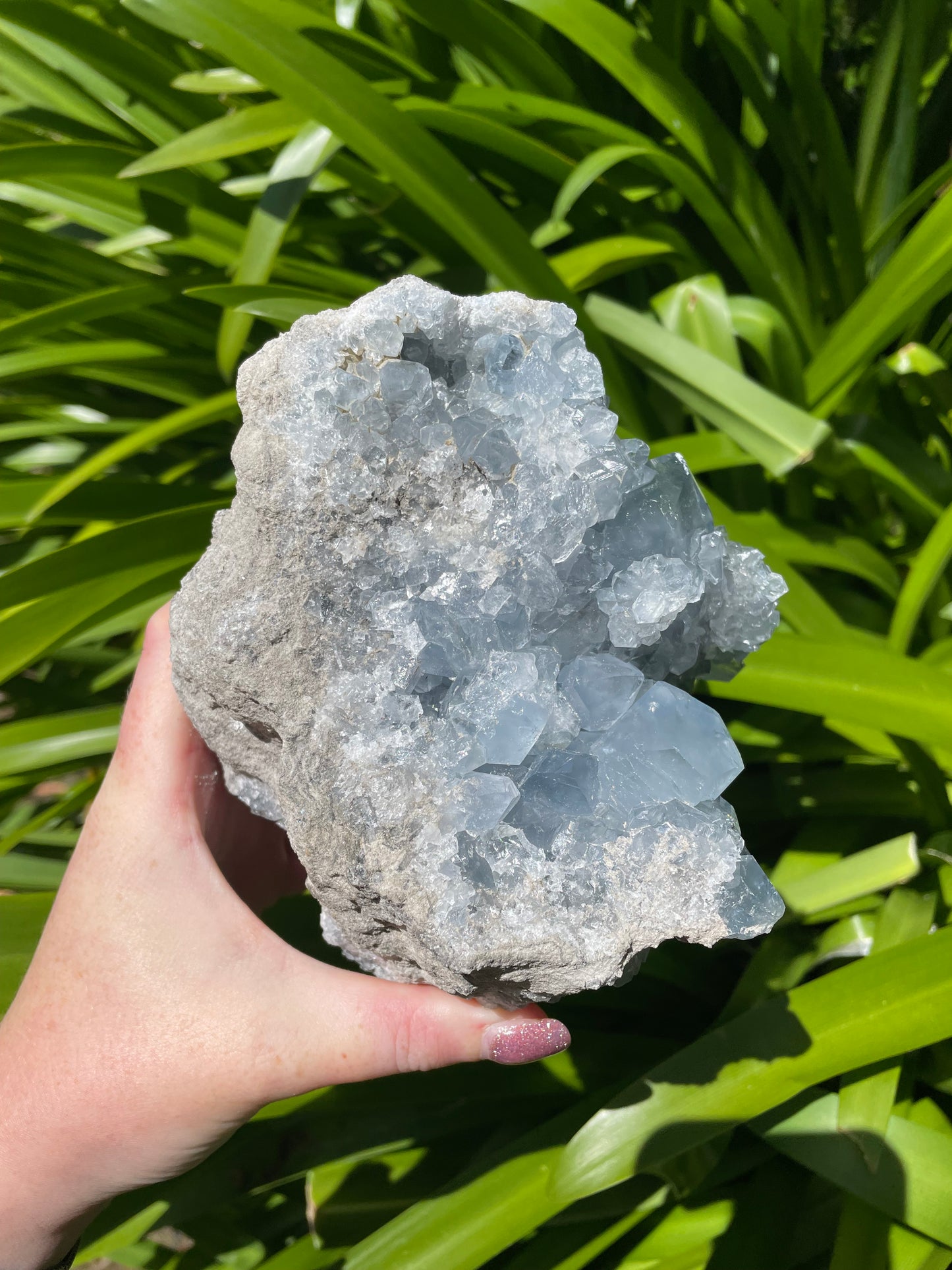 Celestite XL Piece 2.3kgs