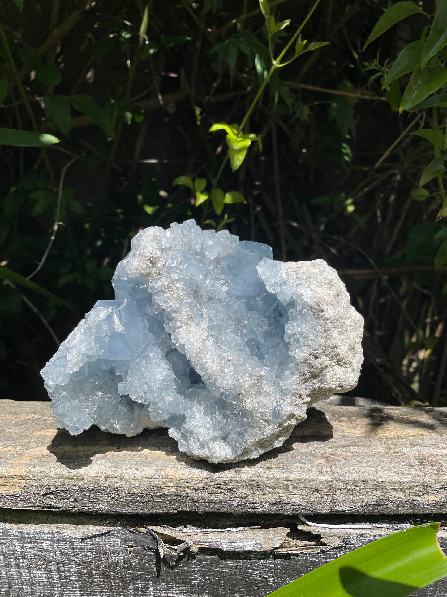 Celestite XL Piece 2.3kgs