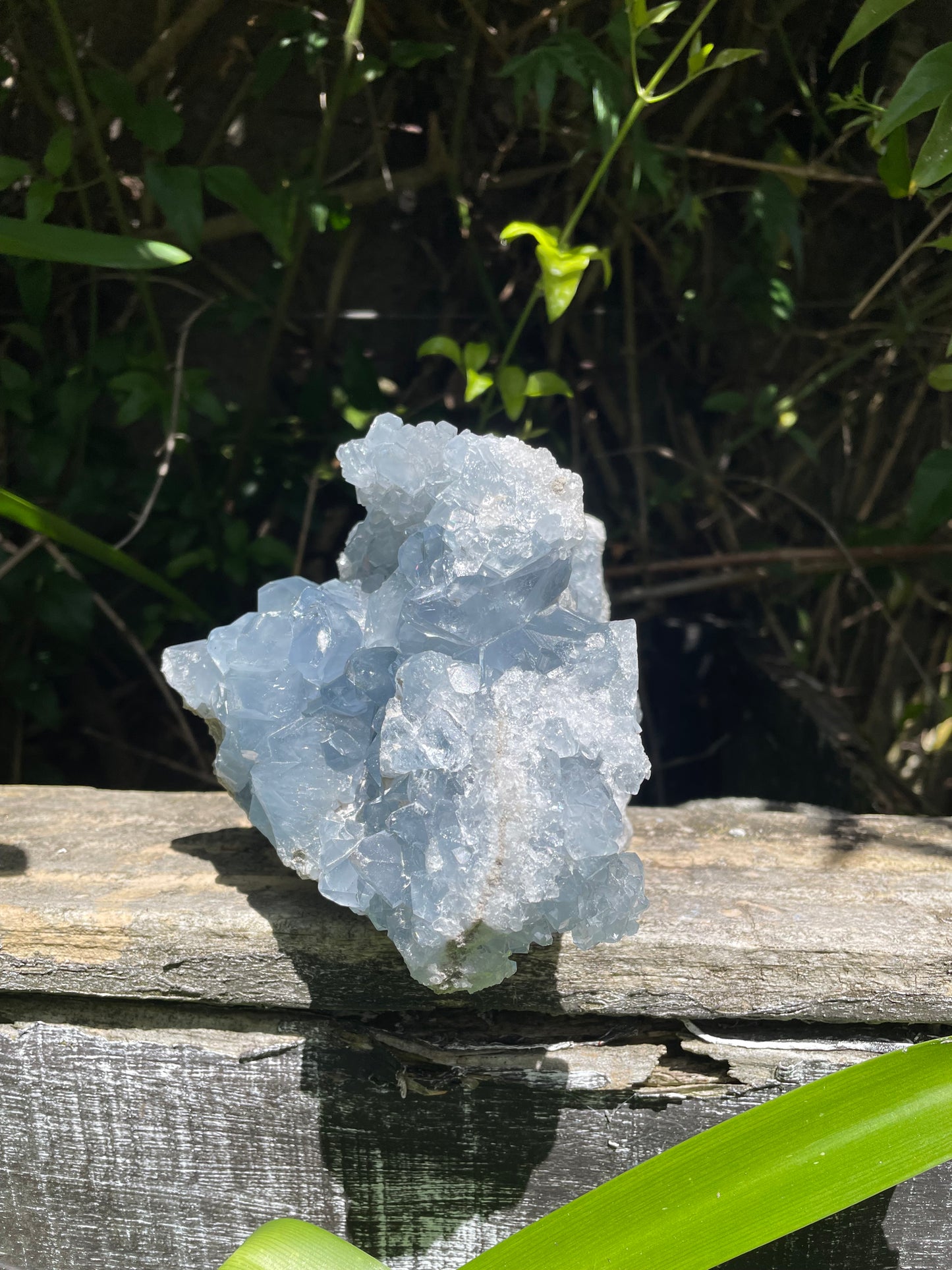 Celestite XL Piece 2.3kgs