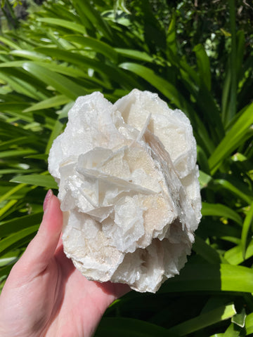 Angel Wing Calcite Cluster Piece B