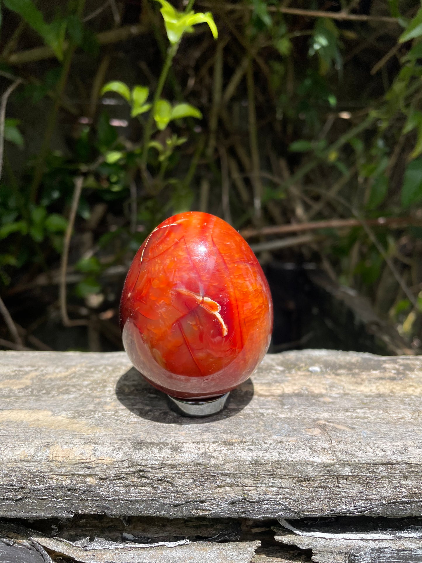 Carnelian Egg A