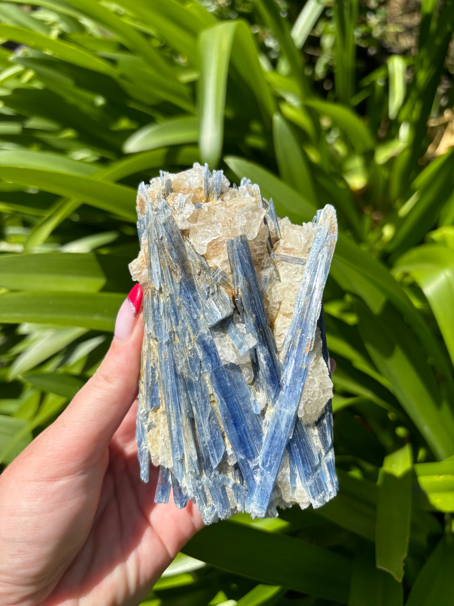 Blue Kyanite & Quartz Piece i